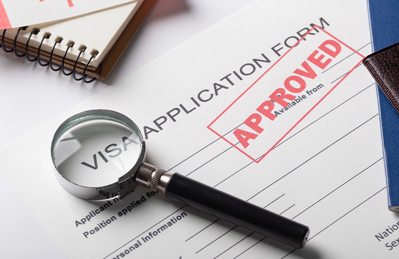 Visa appeals and reviews support